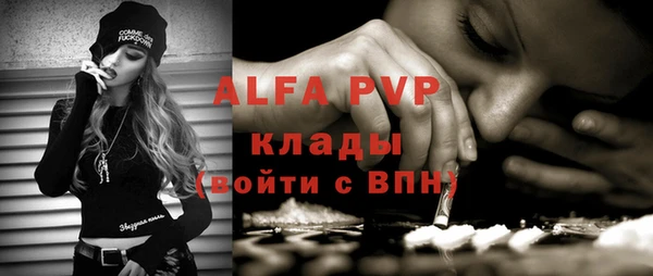 apvp Гусь-Хрустальный