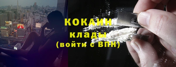гидра Гусиноозёрск