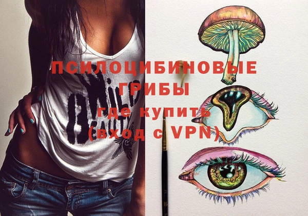 меф VHQ Дмитриев