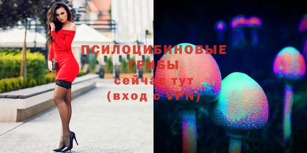 меф VHQ Дмитриев