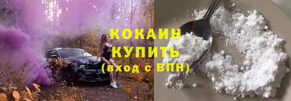 молекула духа Дмитровск